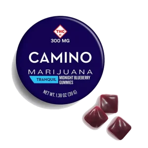 Camino Midnight Blueberry High Dose Gummies