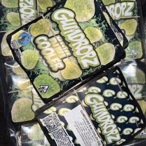 Gumdropz kiwi cooler 1