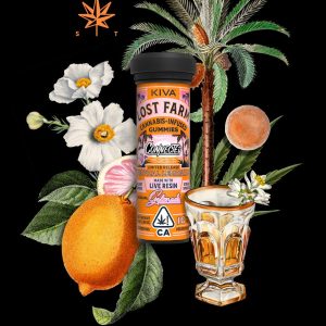 Tropical Lemonade THC Gummies