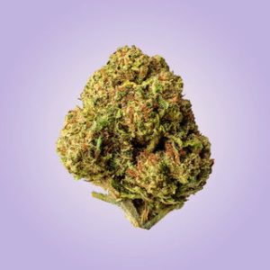 Premium Economy Flower