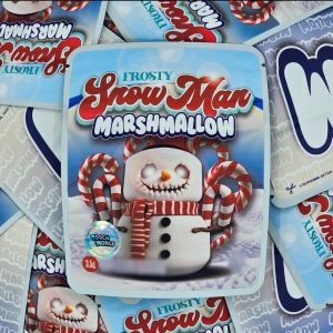 Frosty Snowman Marshmallow 2K