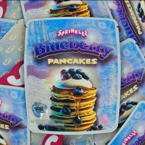Sprinklez Blueberry Pancakes 5